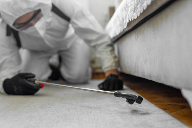 Professional Bed Bug Control technician working in Bunk Foss, WA