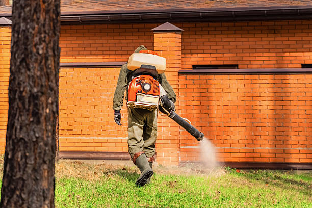 Trusted Rodent Control service in Bunk Foss, WA - Nex Pest Control